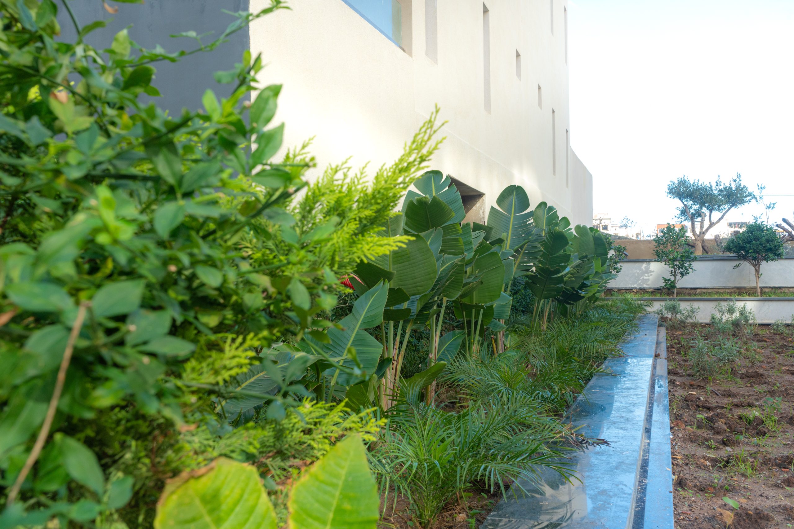 Les Jardins de l'Eden 