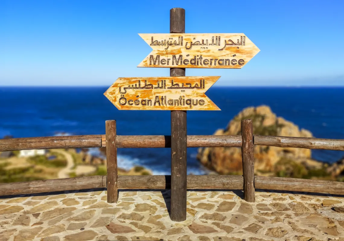 أشقار