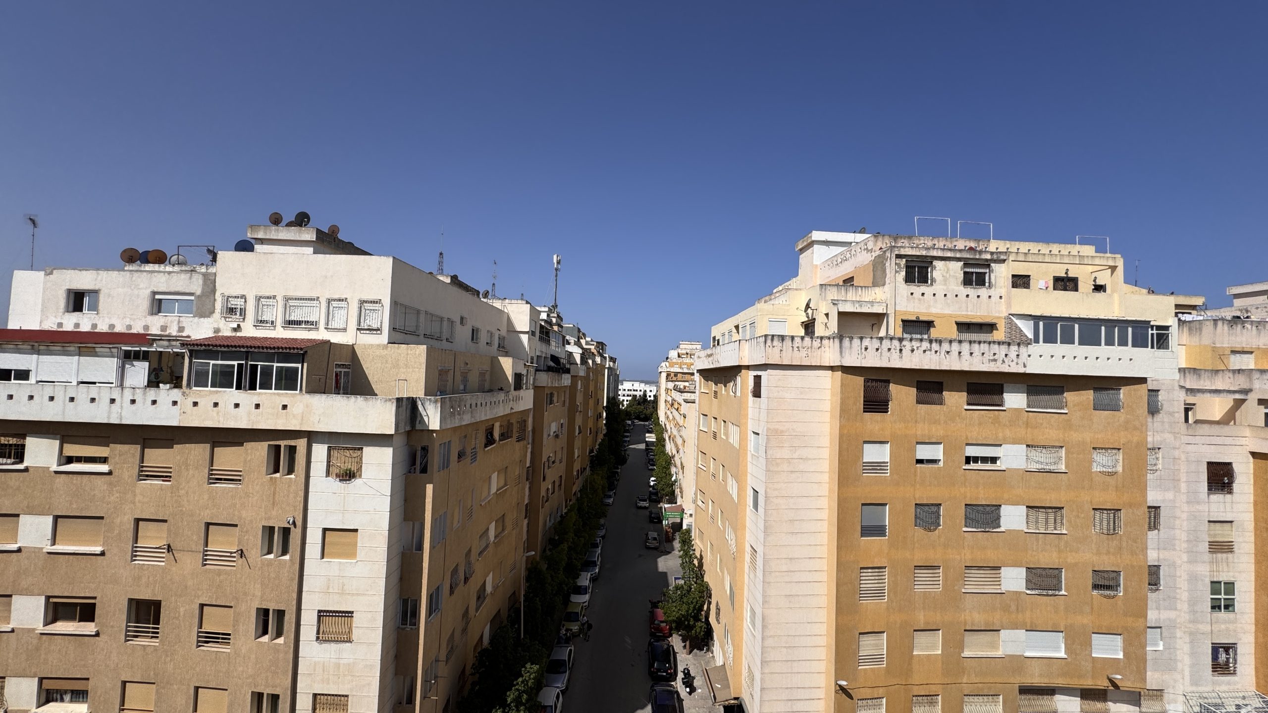 Riad Salam