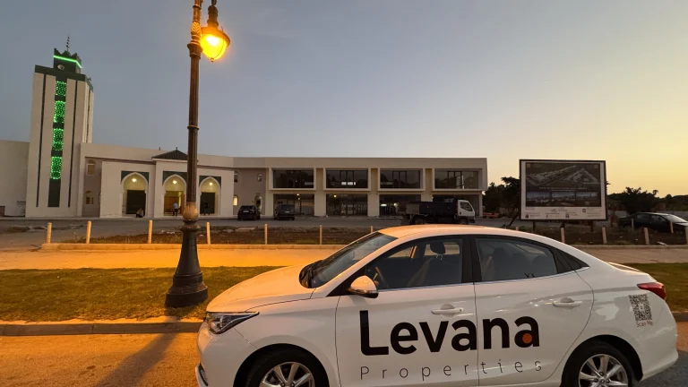 Viewings & airport pick-up