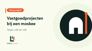 Vastgoedprojecten bij een moskee in Tanger: onze keuze per wijk